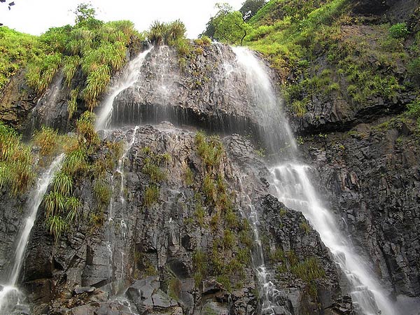 Discover Amboli: The Ultimate Kid-Friendly Getaway in Maharashtra